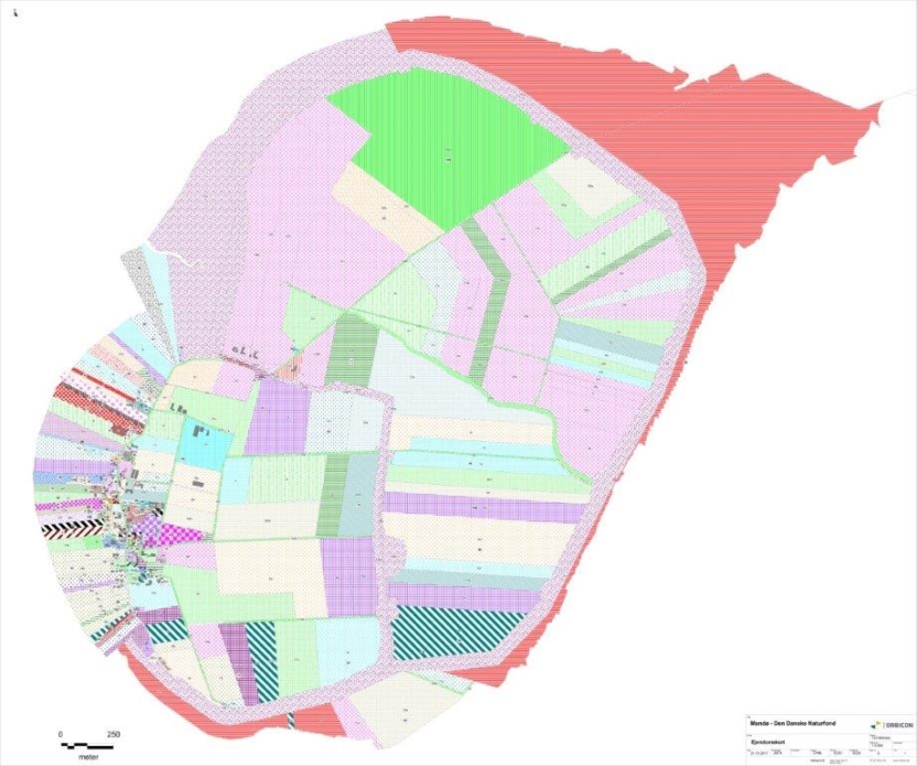 Grafik: Det klare, grønne område i nord er ejet af Naturstyrelsen og allerede udlagt til natur. Den Danske Naturfond har købt jordlodderne med det svagt rosa mønster lige op ad eller tæt ved Naturstyrelsens område.