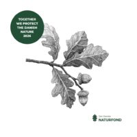 Naturfonden_Agern_2026_ENG