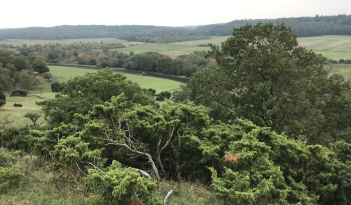Natur igen? Først skal jorden pines…