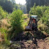 Genopretning skovmoser Kollund Skov (3)