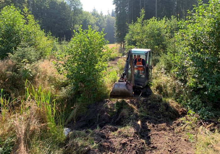 Naturfonden og Aabenraa Kommune har nu lagt sidste hånd på at gendanne Kollunds Skovs oprindelige skovmoser, som bliver nye levesteder for mange arter. Nu er resten op til naturen.