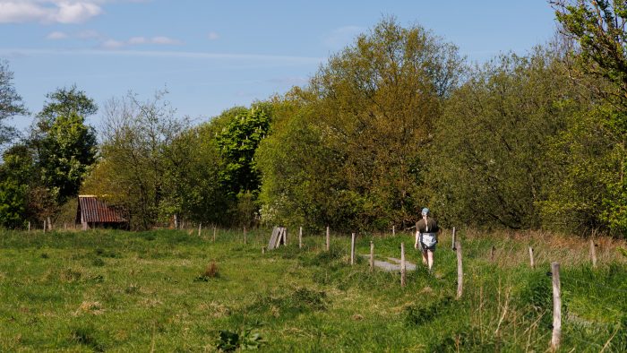 Gjellerup Enge. Foto: Jesper Edvardsen/Den Danske Naturfond