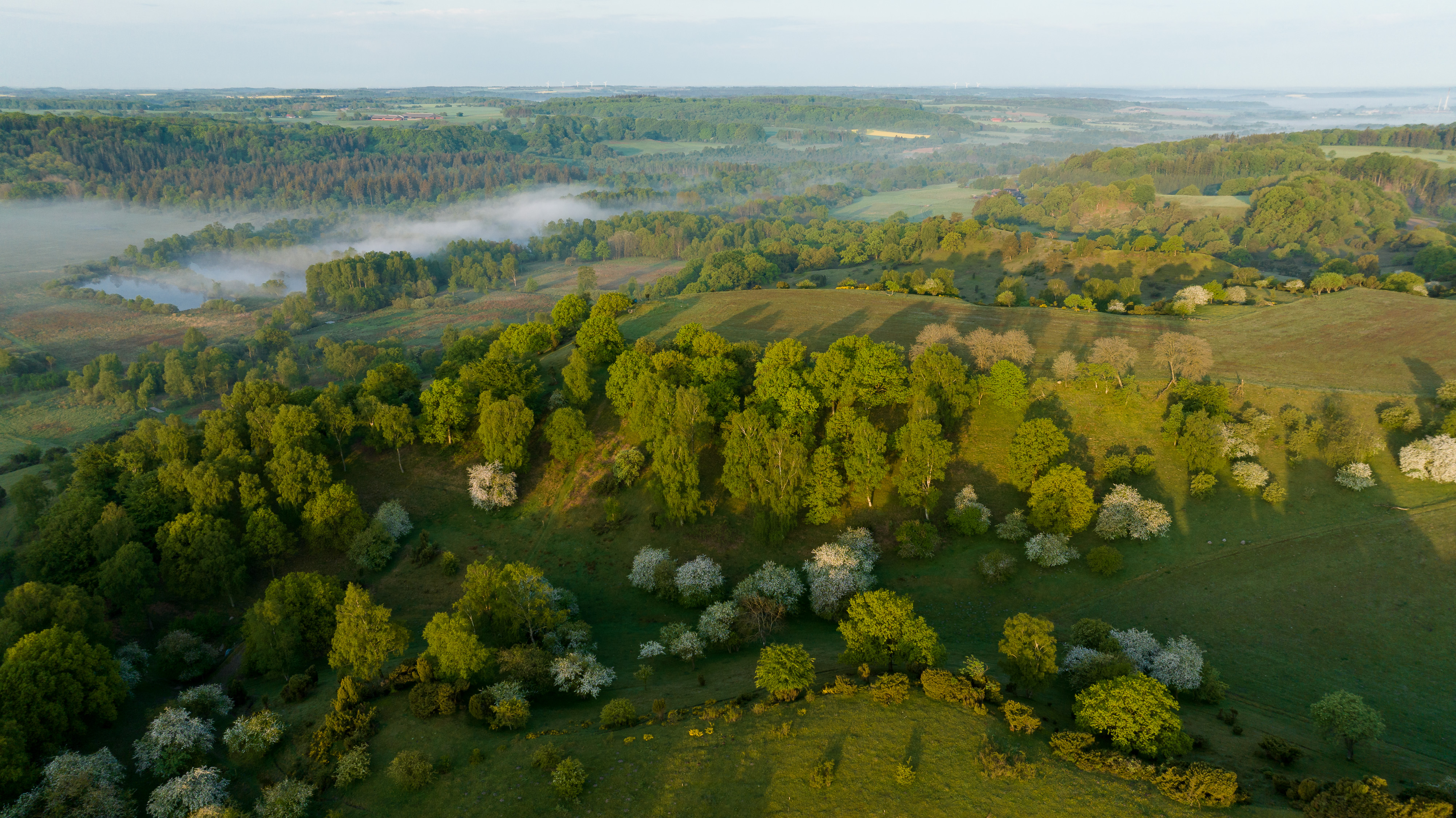 Læsten Bakker Foto: Jesper Edvardsen