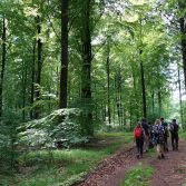 Danskerne er både vilde med at opleve naturen og med at hjælpe den. Der er allerede gode ture at gå i Lerbjerg Skov.