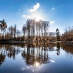 Hesbjerg Skov på Fyn. Foto: Jesper Edvardsen