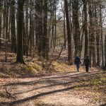 Hesbjerg Skov på Fyn. Foto: Jesper Edvardsen
