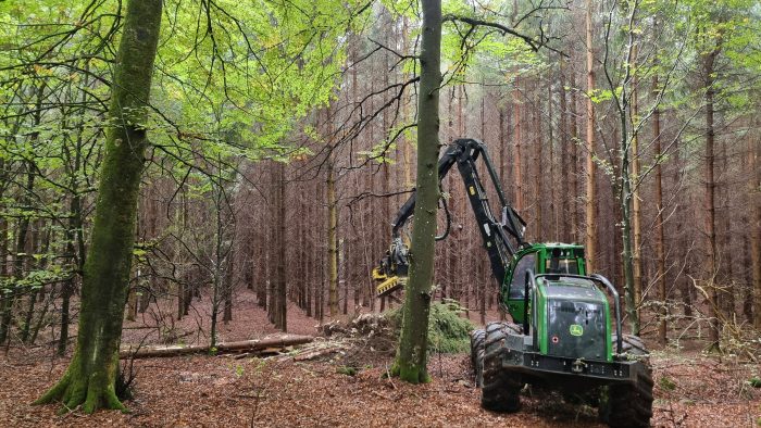 I vores skov, Lerbjerg Skov på Sjælland, er vi nu i fuld gang med en stor genopretning af naturen.