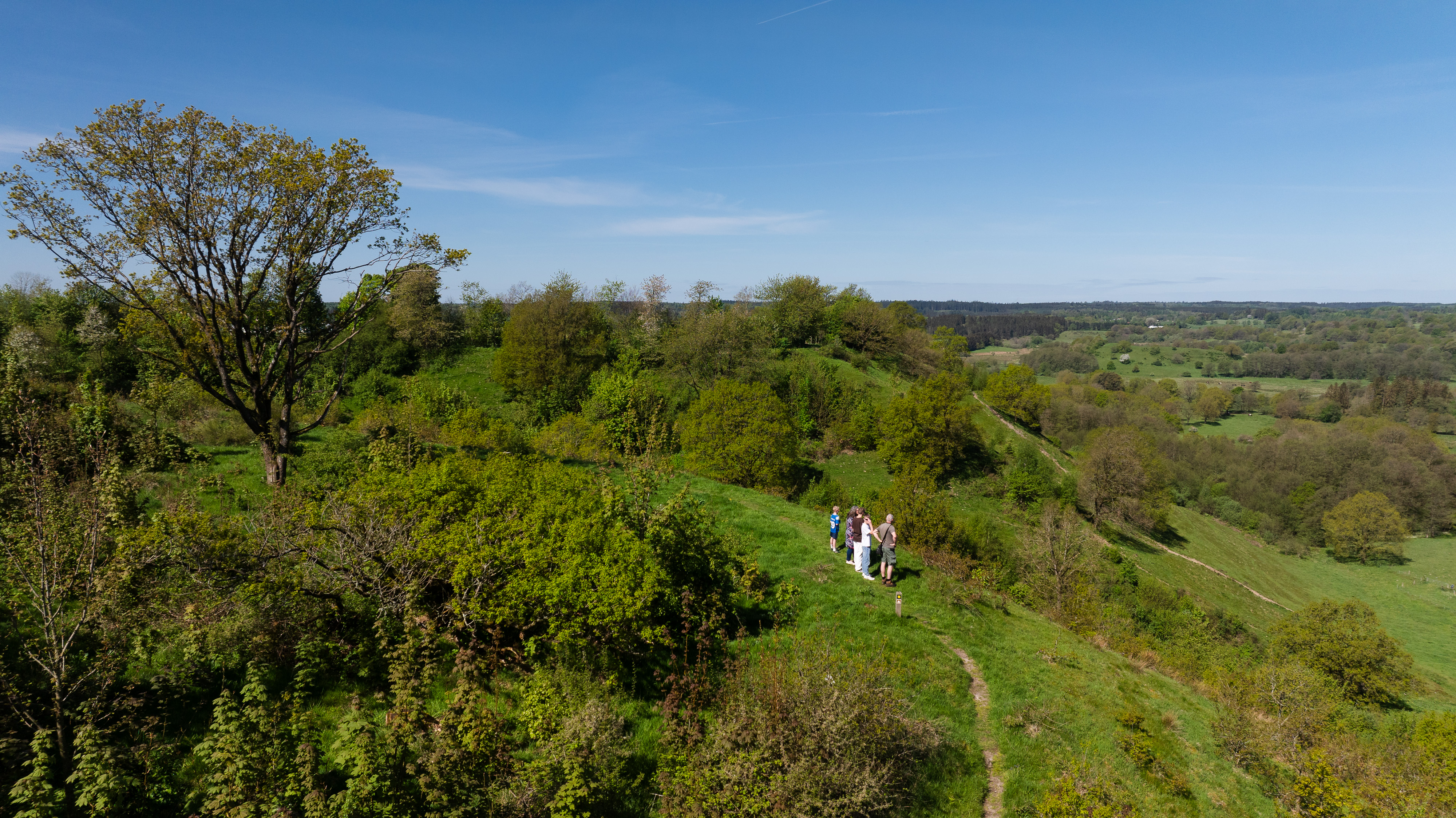 Tørskind Bakker Vejle Ådal Tørskind Bakker i Vejle Ådal er et af Naturfondens naturområder, hvor biodiversitet får flere og bedre levesteder. Foto: Jesper Edvardsen