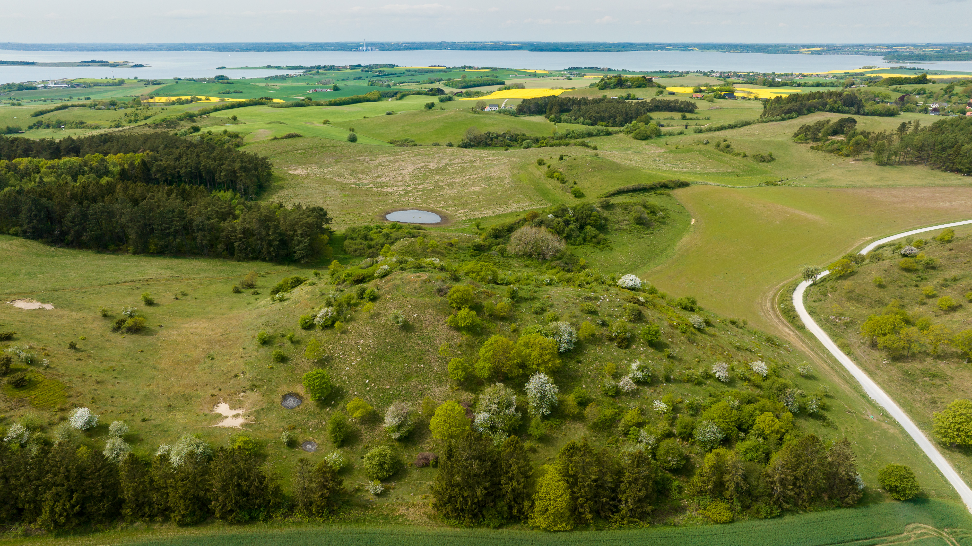 Det er måske også Danmarks heldigste sø, dels, fordi den er genoplivet efter 125 år, dels fordi den ligger så smukt i Naturfondens naturområde i Mols Bjerge syd for landsbyen Agri. Foto: Jesper Edvardsen