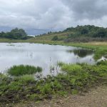 105 meter over havets overflade kan man opleve Danmarks højest beliggende, naturlige sø i Naturfondens naturområde i Mols Bjerge syd for landsbyen Agri. Før var den tørlagt for at dyrke korn, men nu er den igen kommet til live igen efter en stor naturgenopretning.