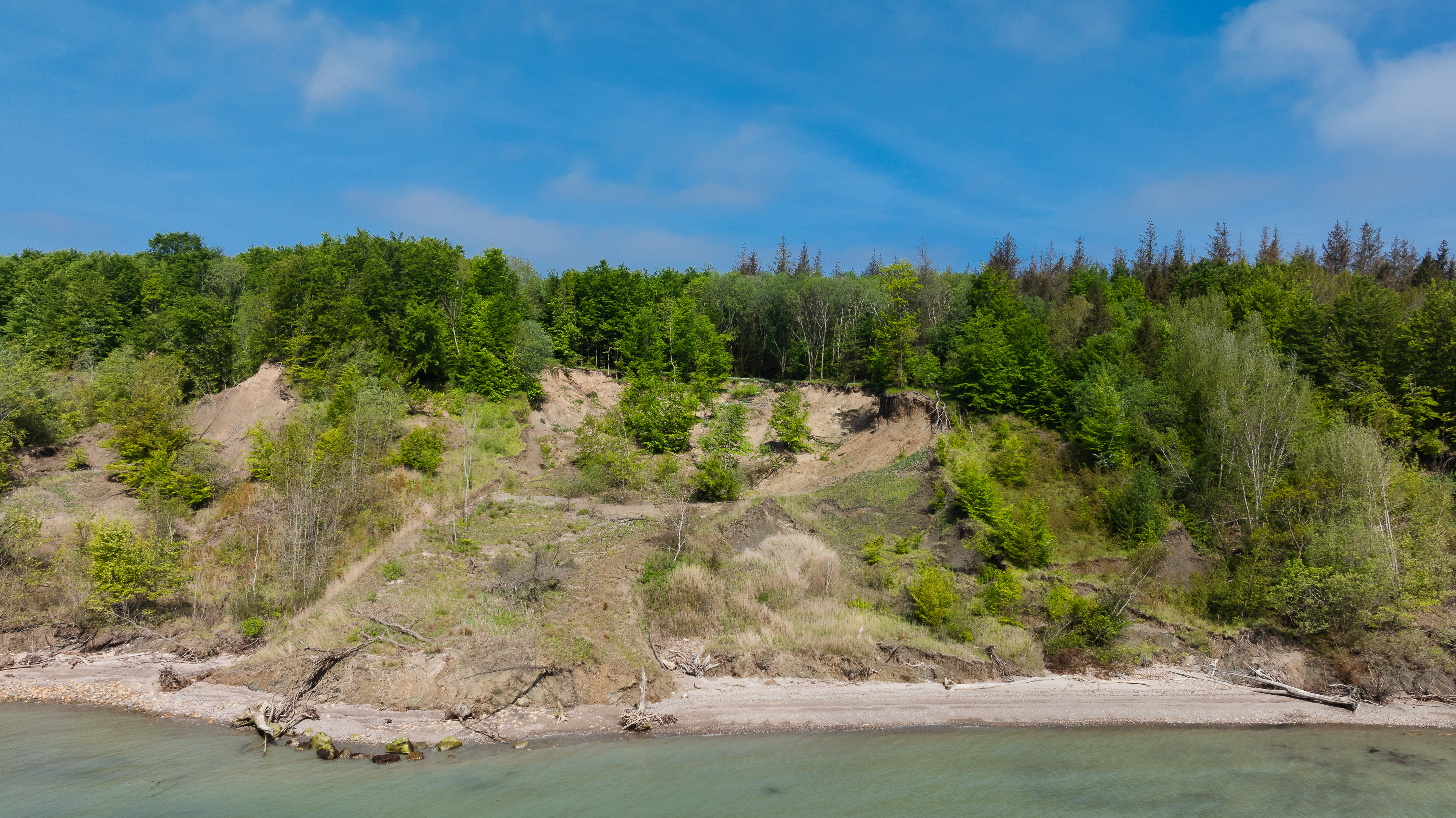 Skovene på Trelde Næs. Foto: Jesper Edvardsen/Den Danske Naturfond