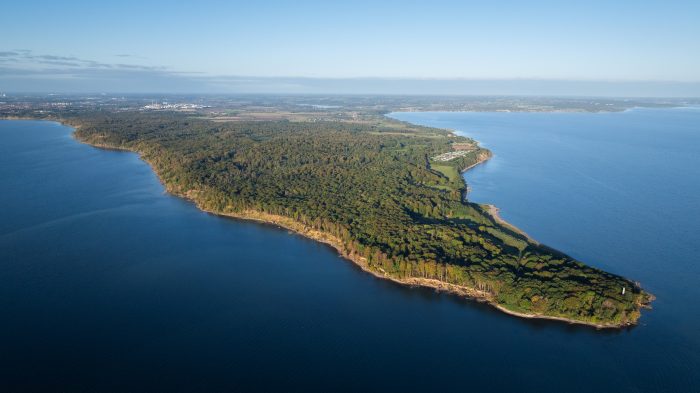 Der er alt for lidt skov i Danmark med høj biodiversitet. Men nu sikrer Den Danske Naturfond sammen med Fredericia Kommune 310 ha naturrigdom i skovene på Trelde Næs lige ud til Lillebælt. Skoven er sikret med hjælp fra 21.000 danskere.