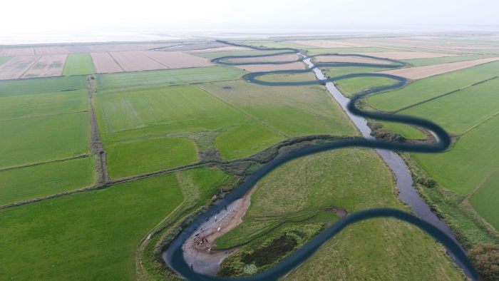 Et af landets største naturprojekter er klar til at omdanne 780 ha landbrugsjord til natur og genslynge den gamle Kongeå i Sønderjylland. Det betyder store gevinster for både vandmiljø, klima og biodiversitet.