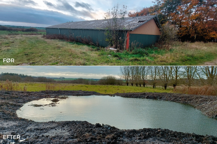 Det er et helt lille natureventyr og vildt godt for biodiversiteten. Før var her en gylletank. Nu er her en sø født af det klareste kildevand fra Danmarks undergrund. Den nye sø er en del af en stor naturgenopretning i Naturfondens naturområde, Engene ved Villestrup Å ved Rold Skov.