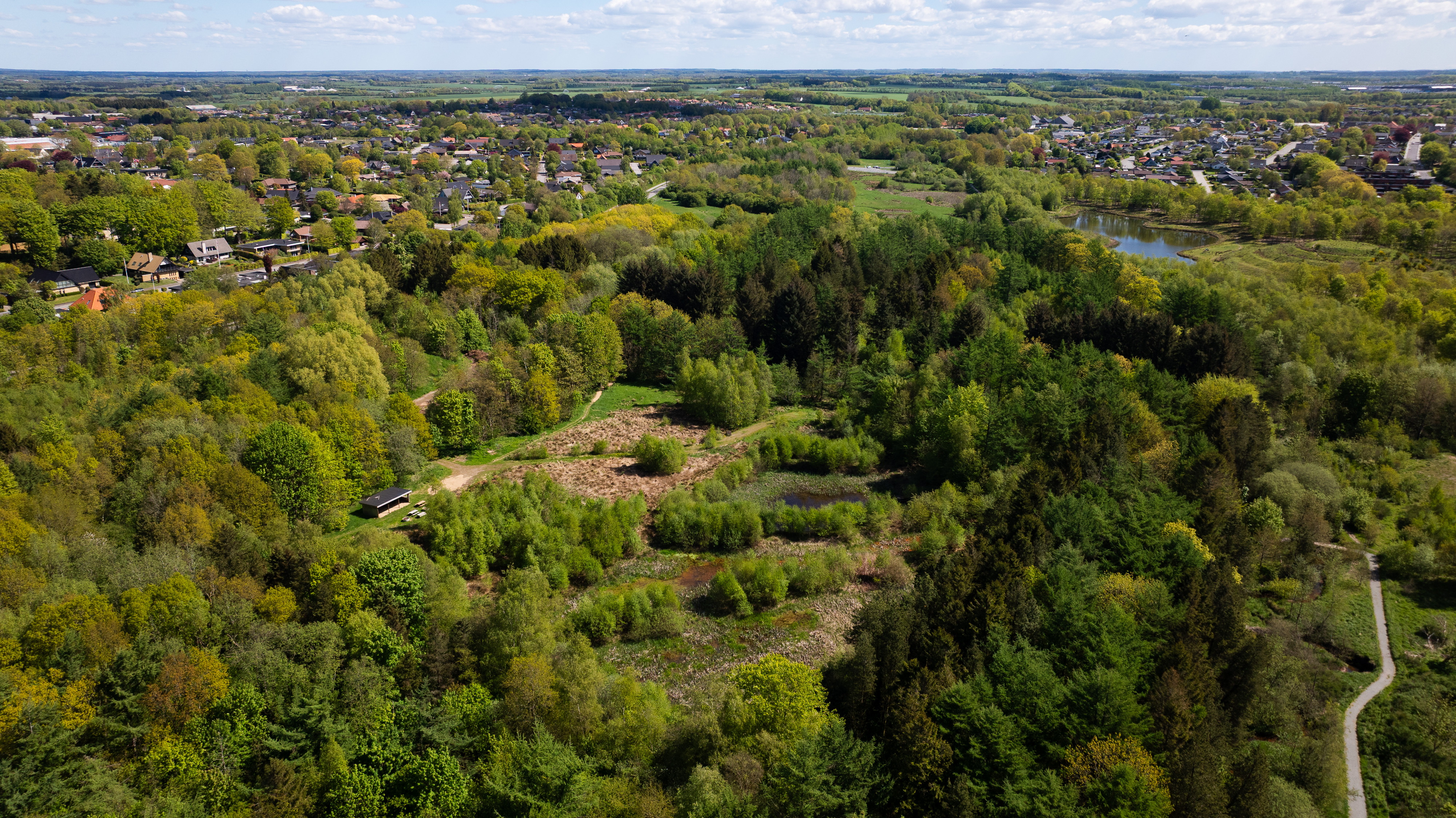 Gjellerup Enge er et naturområde i Herning, hvor vilde dyr og planter har fået flere og bedre levesteder, og hvor byens borgere og alle andre kan gå ture på nye vandrestier. Foto: Jesper Edvardsen