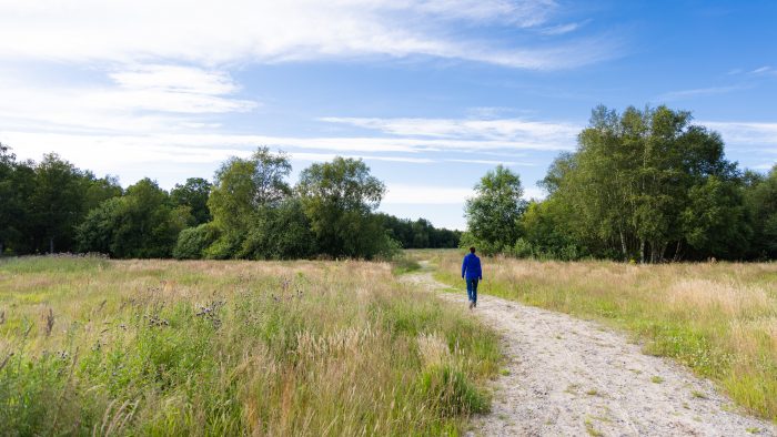 Tranen trompeterer i  mosen. Farverige sommerfugle suger nektar fra vilde planter. Dyr og planter har fået flere og bedre levesteder efter en stor genopretning af den tidligere drænede mose. Det gavner også klimaet. Alle kan nyde naturen fra fem kilometer vandrestier.