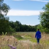 Efter naturgenopretningen er afsluttet, kan alle nu nyde naturen fra fem kilometer nye vandrestier, hvor der før var marker og lukket for adgang. Foto: Jesper Edvardsen