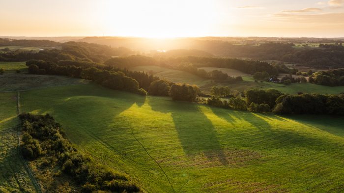 Den Danske Naturfond har for tredje gang opkøbt jord i Vejle Ådal og lægger dermed endnu en brik for at beskytte og genoprette stor, sammenhængende natur i en af landets største og vigtigste ådale. For første gang er Dankort med til at sikre naturen mere plads i et nyt samarbejde med Naturfonden.
