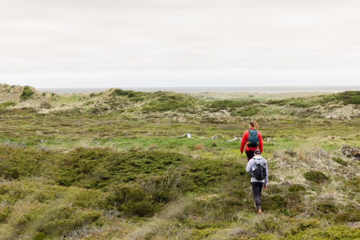 Naturfonden udvider naturområdet Grønnestrand i Nordvestjylland med 135 ha til mere end 600 ha. Det sker med hjælp fra blandt andre Dankort, som donerer 1 øre, hver gang vi alle sammen bruger vores Dankort. Udvidelsen i Grønnestrand er tredje naturområde, Dankort er med til at sikre i ny stor aftale med Naturfonden.