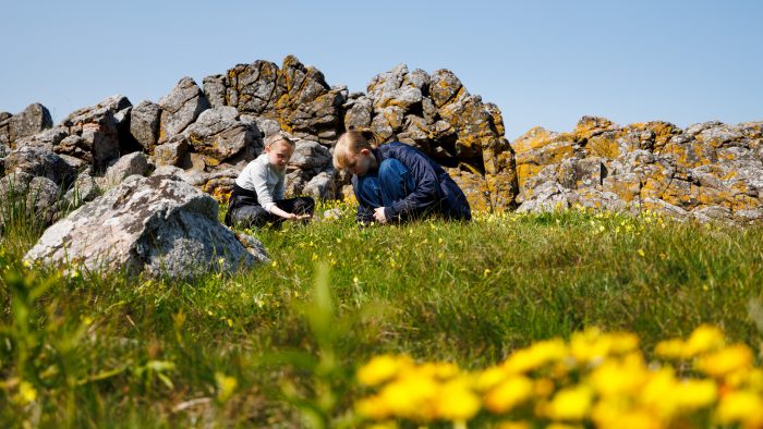 I foråret sikrede Naturfonden sit første naturområde på Bornholm, Nu er der endnu mere godt nyt fra klippeøen.