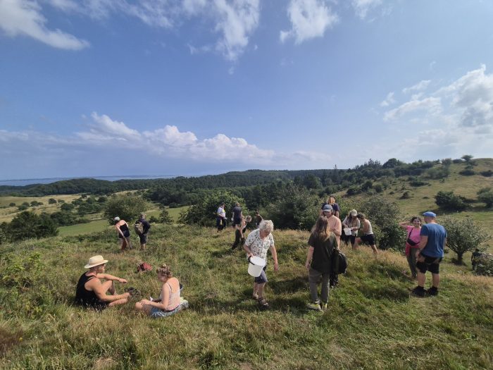 Flere turister vil gerne gøre noget nyttigt i deres ferie. Derfor kan turister og andre frivillige få en unik oplevelse med at hjælpe naturen, når de vandrer i Mols Bjerge og samler frø fra vilde planter.