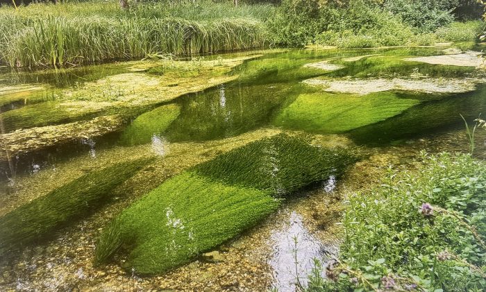 Alle skal kunne fiske og nyde genoprettet natur i Binderup Ådal sydvest for Aalborg. Derfor skal de naturfattige enge ved Binderup Å genoprettes til gavn for biodiversitet og mennesker. Det sker med støtte fra Naturfonden.