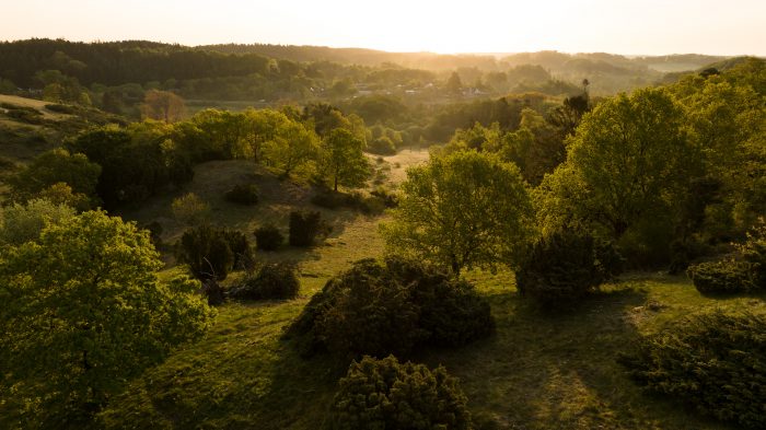 15 ha nyindkøbte marker sikrer nu endnu mere plads til vilde dyr og planter i et af landets vigtigste naturområder, Mols Bjerge.