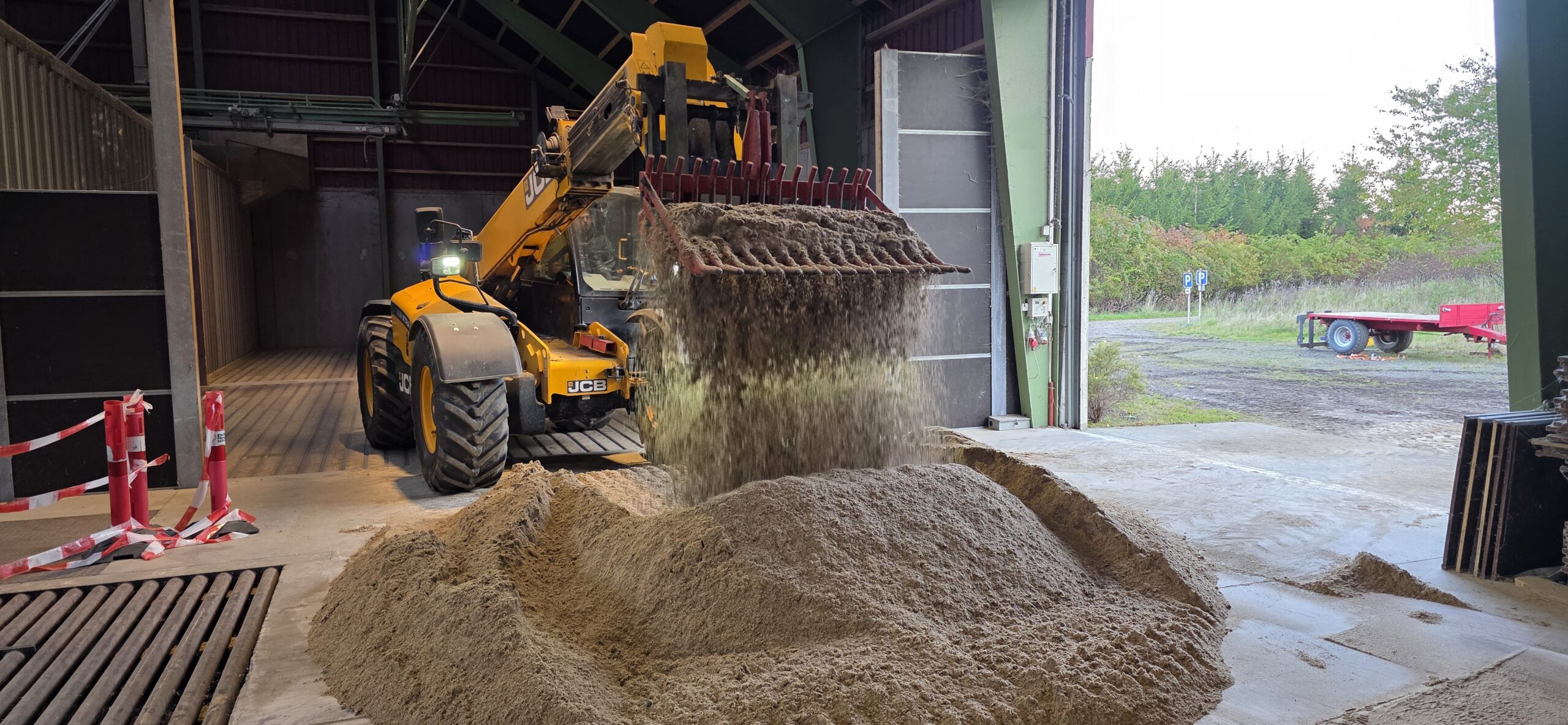 Frø til Storebælt Klint