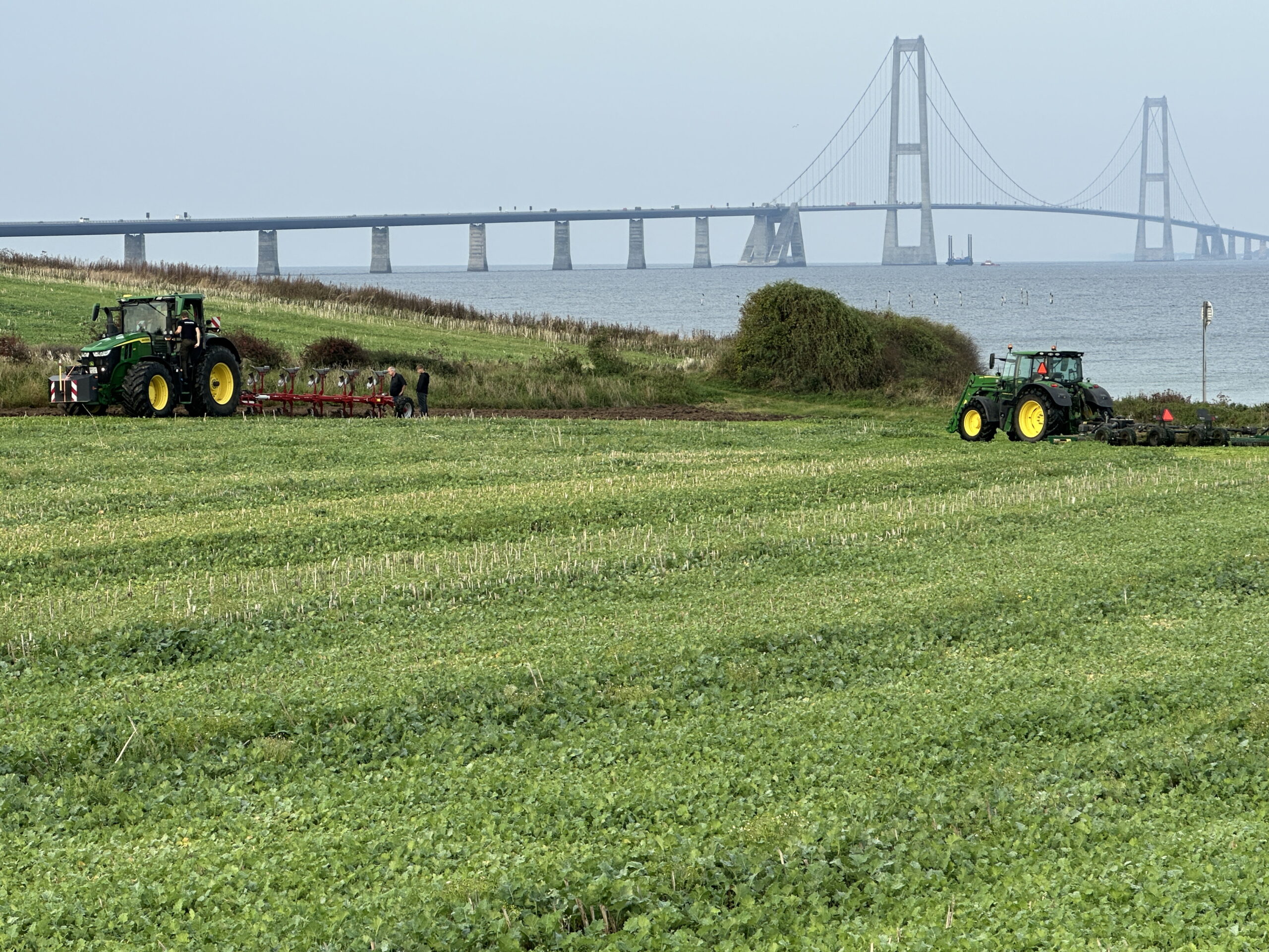 Storebælt Klint genopretning første pløjning efterår 2025 Foto Peer Ravn