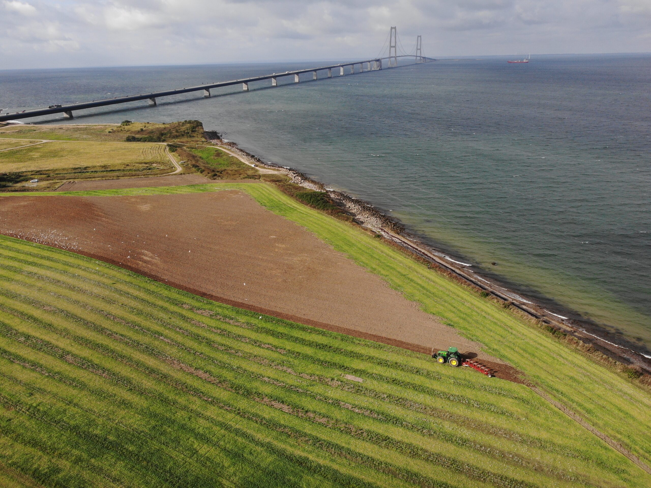 Stor naturgenopretning i gang ved Storebæltsbroen. Foto: Slagelse Kommune