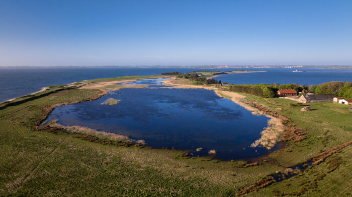 Oplev Limfjordens storslåede natur på Venø. I Naturfondens naturområde giver vi vilde dyr og planter de bedste levesteder fremover, og du får flere muligheder for at nyde naturen.