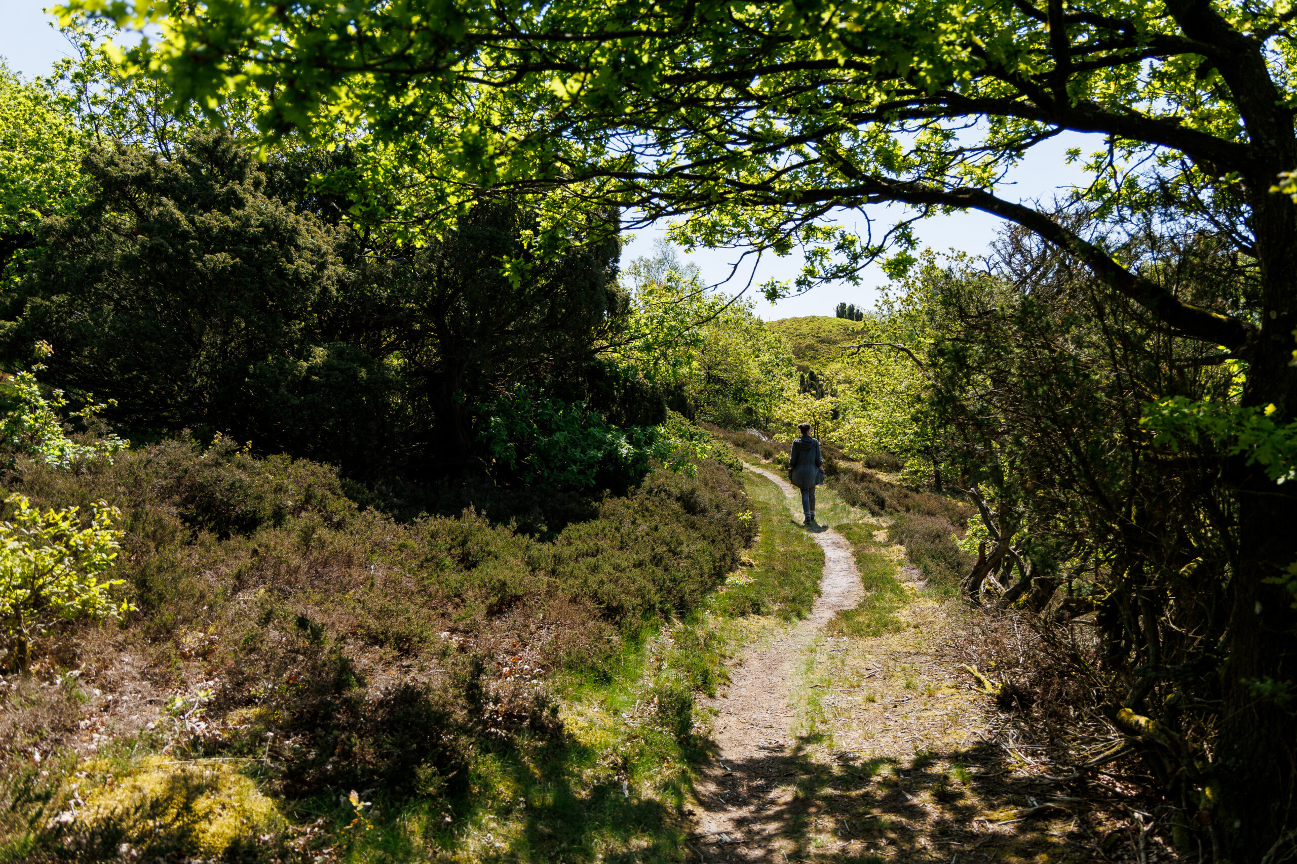 Vandretur i Læsten Bakker. Foto: Jesper Edvardsen