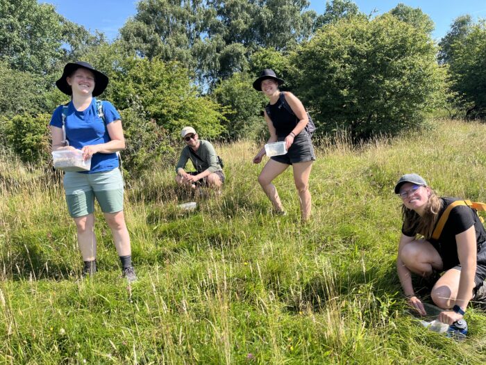 Vilde dyr og planter får flere og bedre levesteder i Naturfondens naturområder, hvor vi genopretter naturen. For eksempel kan marker og produktionsskov blive til blomsterenge eller mose. Her kan du se nogle af de vigtigste indsatser fra 2025.