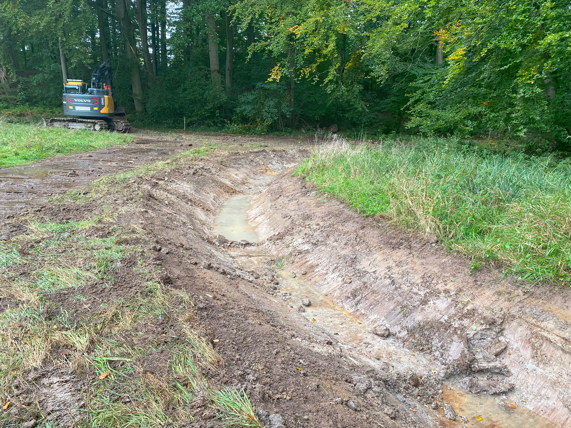 Et mere naturligt vandløb, der bugter sig gennem skovbunden med en naturligt lav vanddybde. Før var grøfterne gravet stejle og dybe for at kunne lede vandet ud af skoven. Foto: Odense Kommune