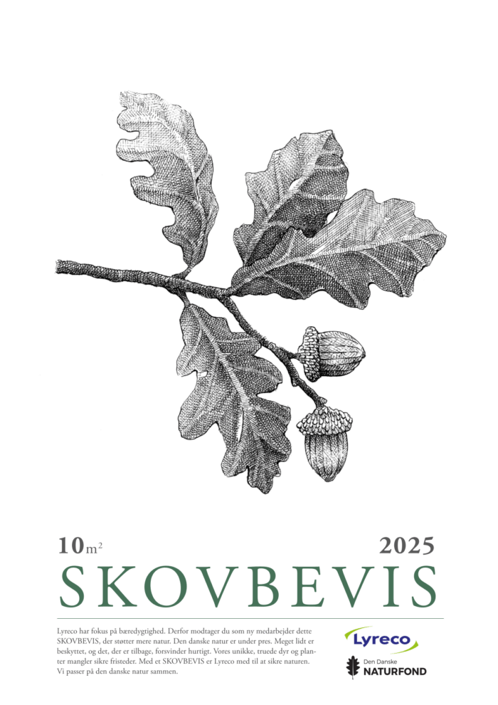 Mange virksomheder har gavn af produktsamarbejde med Naturfonden. Mulighederne er mange. Men hvordan kan man gøre det? Her er fem eksempler fra innocent juice, Plantepakken, Naturfrisk, DRYK og Natur Lager.
