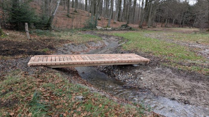 Danmark har alt for få skove, hvor vandet kan flyde frit og danne skovbække og vandhuller til gavn for skovens vilde dyr og planter. Det betyder færre levesteder til skovens biodiversitet. Det gjaldt også i en tidligere produktionsskov på Fyn. Men nu er det helt anderledes.