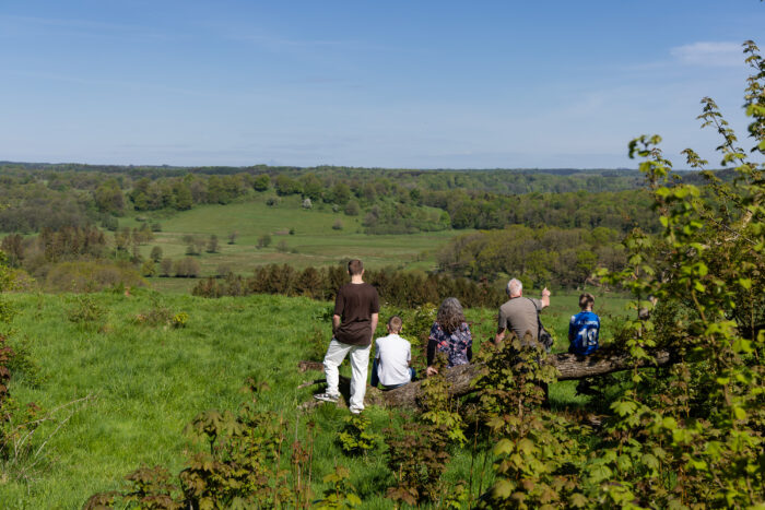 Naturfonden køber 20 hektar jord i den centrale del af Vejle Ådal, hvor vi vil fremtidssikre naturen til gavn for de vilde dyr og planter i og omkring Vejle Å. Det nye jordkøb er en del af et 450 ha stort klima- og naturprojekt.