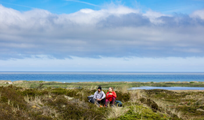 De store klit- og hedeområder i Thy og Han Herred er toppen af dansk natur. Et kæmpe landskab, hvor naturen nu får endnu mere plads. Ved Grønnestrand, som ligger i bunden af Jammerbugten, har Naturfonden opkøbt 145 ha jord af seks lokale ejere, så naturområdet nu vokser til ca. 800 ha.
