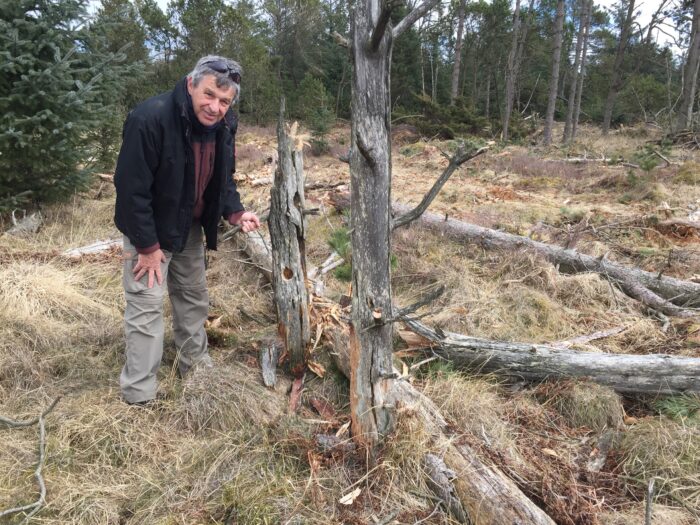 Glæden ved naturen er stor, og naturen skal sikres for altid. Det er de vigtigste grunde til, at Jens, Nina og Silas har valgt at sælge jord til Naturfondens store naturprojekt ved Grønnestrand i Nordvestjylland.