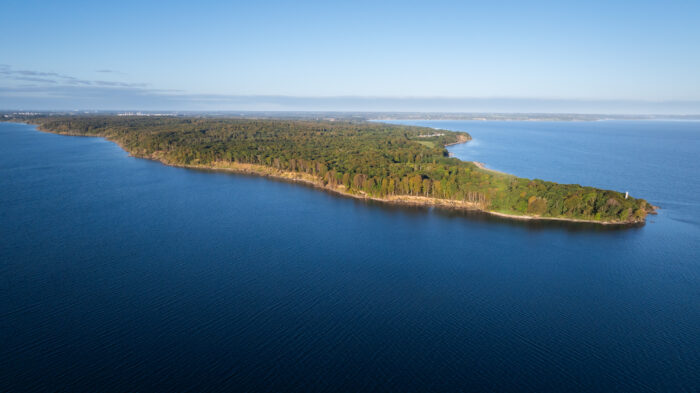 De store klit- og hedeområder i Thy og Han Herred er toppen af dansk natur. Et kæmpe landskab, hvor naturen nu får endnu mere plads. Ved Grønnestrand, som ligger i bunden af Jammerbugten, har Naturfonden opkøbt 145 ha jord af seks lokale ejere, så naturområdet nu vokser til ca. 800 ha.