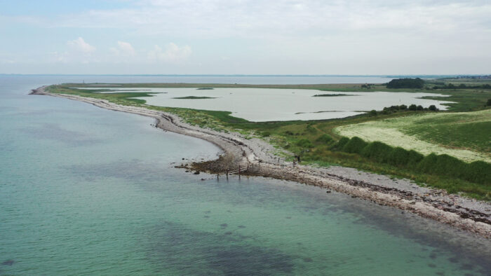 De store klit- og hedeområder i Thy og Han Herred er toppen af dansk natur. Et kæmpe landskab, hvor naturen nu får endnu mere plads. Ved Grønnestrand, som ligger i bunden af Jammerbugten, har Naturfonden opkøbt 145 ha jord af seks lokale ejere, så naturområdet nu vokser til ca. 800 ha.